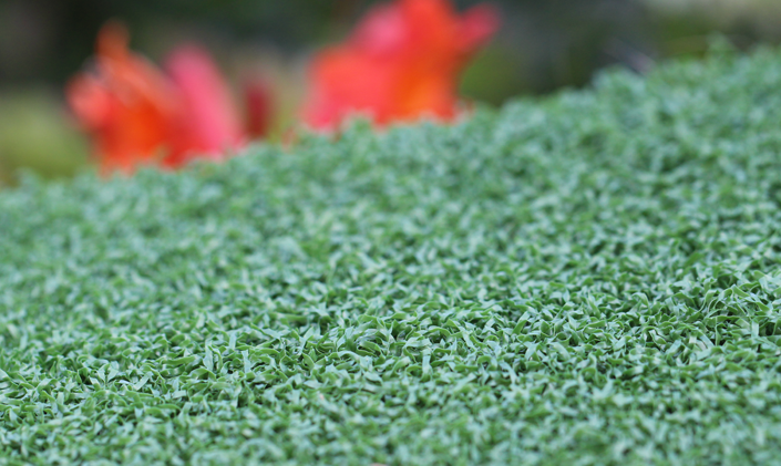 Artificial Grass Artificial Putting Green