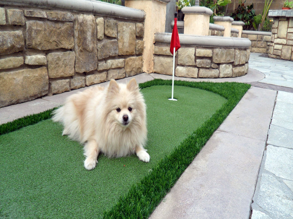 Fake Grass Birch Bay, Washington Indoor Putting Green, Backyard Designs
