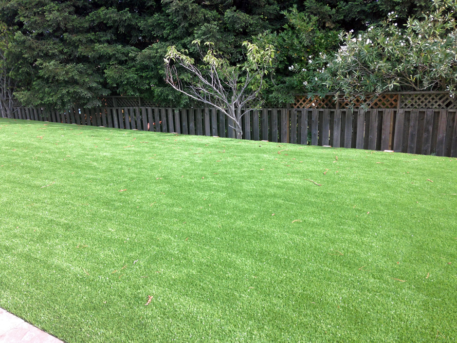 Fake Grass Rockford, Washington Lawn And Garden, Backyard Garden Ideas