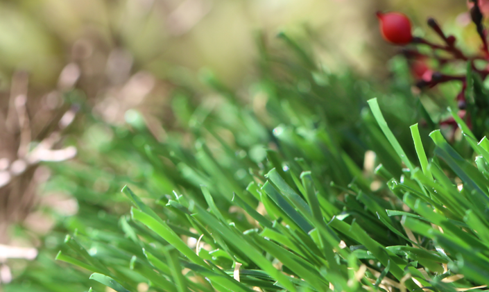 Artificial Grass Emerald-70 Artificial Grass Washington