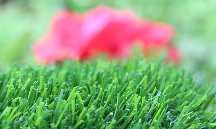 Artificial Grass Evergreen-80 Artificial Grass Washington