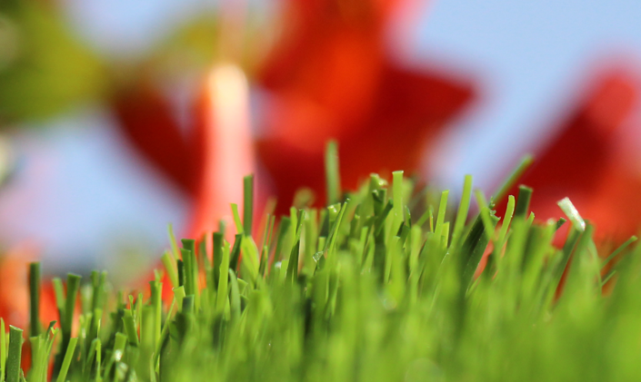 Artificial Grass Spring-60 Artificial Grass Washington