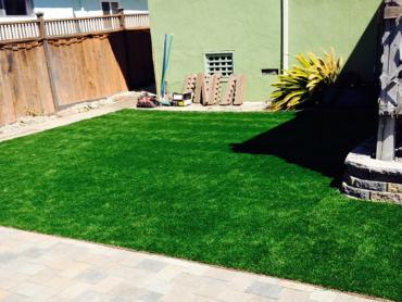 Artificial Grass Photos: Artificial Grass Ames Lake, Washington Dog Parks, Beautiful Backyards