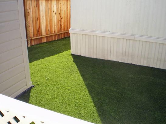 Artificial Grass Photos: Artificial Grass Burien, Washington Landscape Photos, Backyard Designs