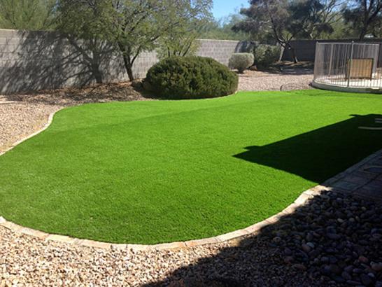 Artificial Grass Photos: Artificial Grass Carpet Addy, Washington Landscape Ideas, Backyard Designs