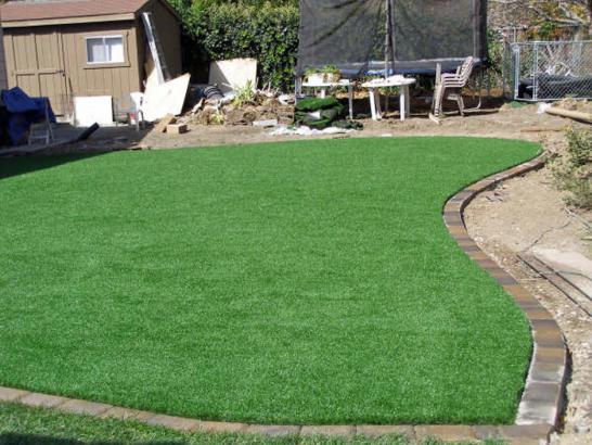 Artificial Grass Photos: Artificial Grass Carpet Bainbridge Island, Washington Gardeners, Backyard Ideas