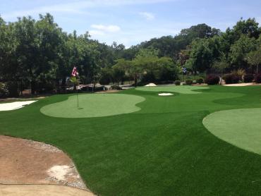 Artificial Grass Photos: Artificial Grass Carpet Boulevard Park, Washington Lawns, Front Yard Landscape Ideas