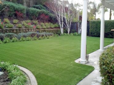 Artificial Grass Photos: Artificial Grass Carpet Brewster, Washington Landscape Design, Backyard Makeover