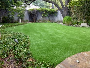 Artificial Grass Photos: Artificial Grass Carpet Deer Park, Washington City Landscape, Backyard