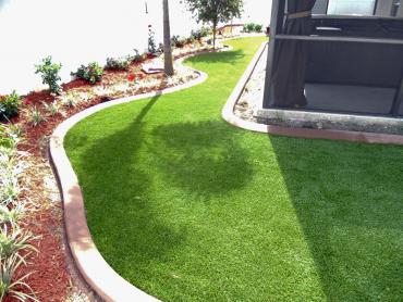 Artificial Grass Photos: Artificial Grass Carpet Erlands Point-Kitsap Lake, Washington Landscape Ideas, Backyard Landscaping