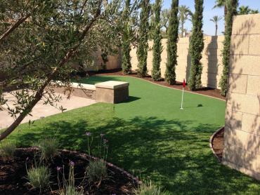 Artificial Grass Photos: Artificial Grass Carpet Garfield, Washington Home Putting Green, Backyard Makeover