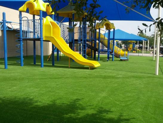 Artificial Grass Photos: Artificial Grass Carpet Hoodsport, Washington Rooftop, Commercial Landscape