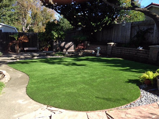 Artificial Grass Photos: Artificial Grass Carpet Hoquiam, Washington Lawns, Backyard Design