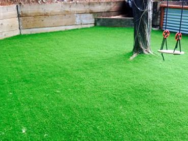 Artificial Grass Photos: Artificial Grass Carpet McMillin, Washington Landscape Rock, Backyard