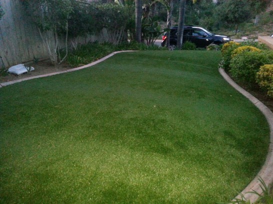 Artificial Grass Photos: Artificial Grass Carpet Montesano, Washington Roof Top, Front Yard Ideas