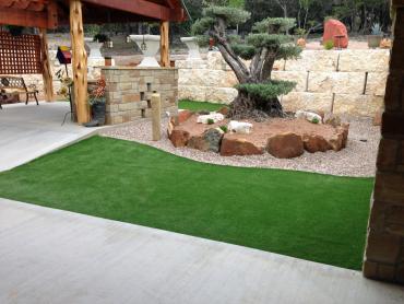 Artificial Grass Photos: Artificial Grass Carpet Napavine, Washington Rooftop, Backyard Landscaping Ideas