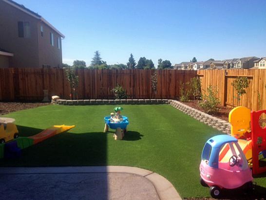 Artificial Grass Photos: Artificial Grass Carpet Nile, Washington Paver Patio, Backyard