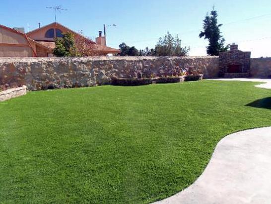 Artificial Grass Photos: Artificial Grass Carpet Puyallup, Washington Landscape Ideas, Backyard Designs