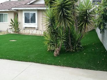 Artificial Grass Photos: Artificial Grass Carpet Roy, Washington Landscape Photos, Front Yard Ideas