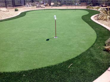 Artificial Grass Photos: Artificial Grass Carpet Ruston, Washington Putting Green Grass, Backyard Landscaping