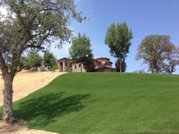 Artificial Grass Photos: Artificial Grass Carpet Sudden Valley, Washington Roof Top, Front Yard