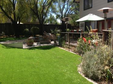 Artificial Grass Photos: Artificial Grass Carpet West Side Highway, Washington Landscape Rock, Backyard Ideas