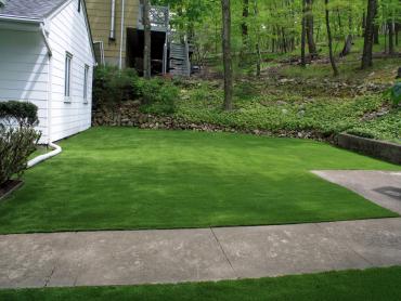 Artificial Grass Photos: Artificial Grass Granite Falls, Washington Lawn And Landscape, Front Yard