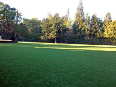 Artificial Grass Photos: Artificial Grass Hobart, Washington Landscape Ideas, Parks