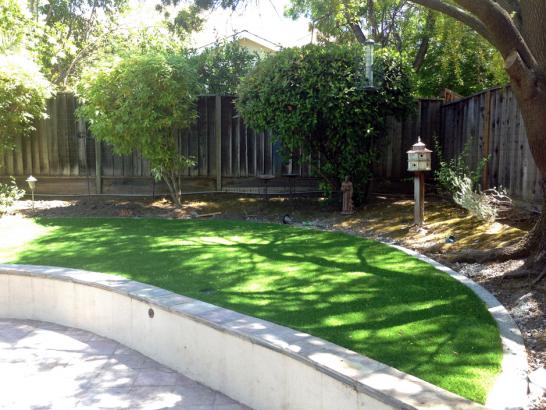 Artificial Grass Photos: Artificial Grass Installation Custer, Washington Landscape Rock, Commercial Landscape