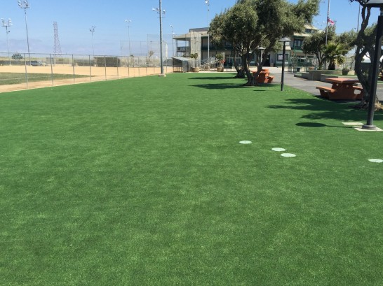 Artificial Grass Photos: Artificial Grass Installation Key Center, Washington Lawn And Landscape, Parks