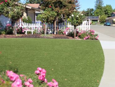 Artificial Grass Photos: Artificial Grass Installation Nisqually Indian Community, Washington Home And Garden, Front Yard Ideas