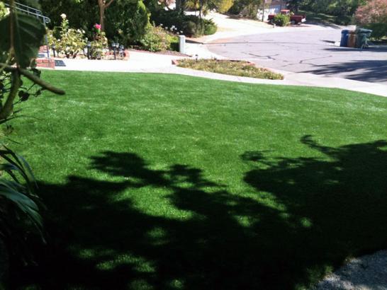 Artificial Grass Photos: Artificial Grass Installation Prescott, Washington Gardeners, Small Front Yard Landscaping