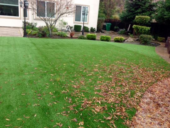 Artificial Grass Photos: Artificial Grass Installation Queets, Washington Backyard Playground, Backyard Designs