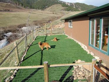 Artificial Grass Photos: Artificial Grass Installation Tumwater, Washington Artificial Turf For Dogs, Dogs Park