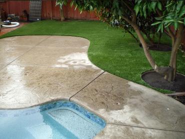 Artificial Grass Photos: Artificial Grass Installation Vashon, Washington Landscape Ideas, Natural Swimming Pools