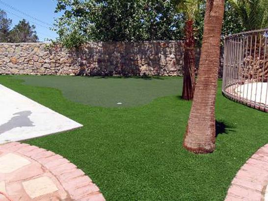 Artificial Grass Kennewick, Washington Lawns, Backyard Designs artificial grass