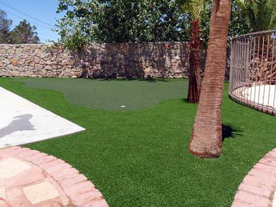 Artificial Grass Photos: Artificial Grass Kennewick, Washington Lawns, Backyard Designs