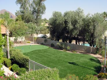 Artificial Grass Photos: Artificial Grass Marietta-Alderwood, Washington Putting Green Grass, Backyard Makeover