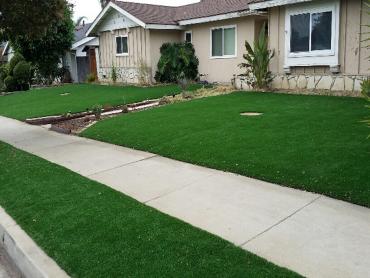 Artificial Grass Photos: Artificial Grass Marrowstone, Washington Garden Ideas, Front Yard Ideas