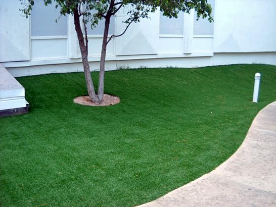 Artificial Grass Photos: Artificial Grass Northport, Washington Garden Ideas, Commercial Landscape