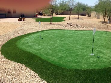 Artificial Grass Photos: Artificial Grass Quilcene, Washington Putting Green Flags, Beautiful Backyards