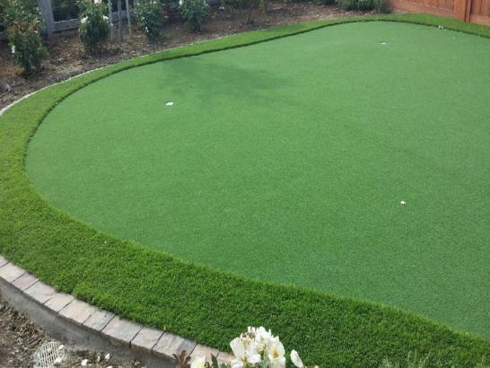 Artificial Grass Photos: Artificial Grass Sunnyside, Washington Gardeners, Backyard Landscape Ideas