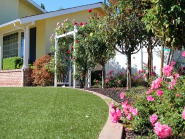 Artificial Grass Photos: Artificial Grass Tekoa, Washington Landscape Photos, Front Yard Ideas