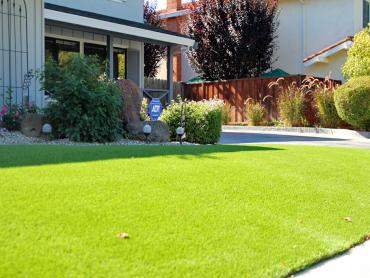 Artificial Grass Photos: Artificial Grass Trout Lake, Washington Lawns, Landscaping Ideas For Front Yard