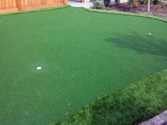 Artificial Grass Photos: Artificial Lawn Almira, Washington Home Putting Green