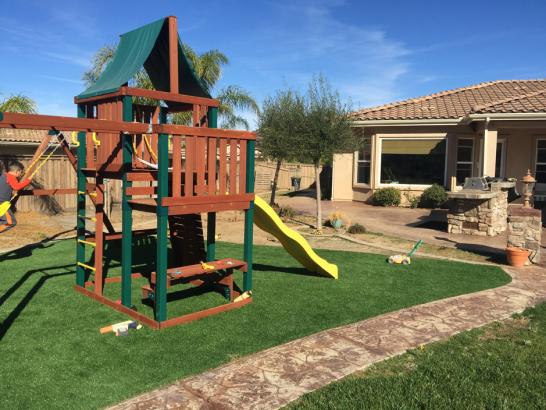 Artificial Grass Photos: Artificial Lawn Cheney, Washington Playground Safety, Backyard Designs