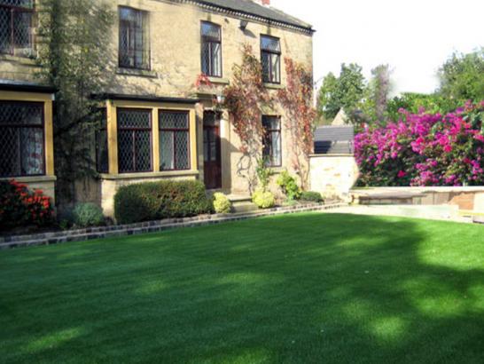 Artificial Grass Photos: Artificial Lawn Disautel, Washington Lawn And Garden, Small Front Yard Landscaping