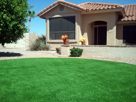 Artificial Grass Photos: Artificial Lawn Endicott, Washington Landscaping, Front Yard