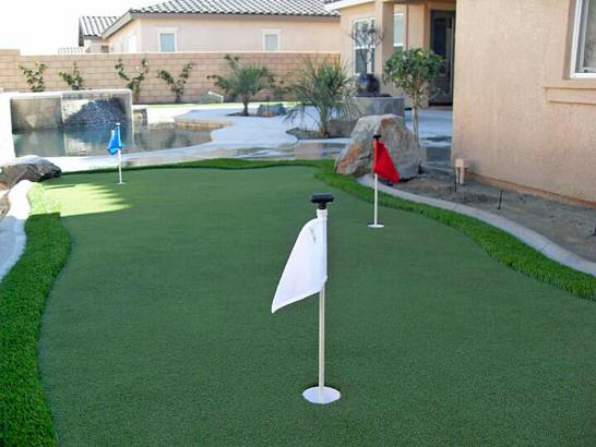 Artificial Grass Photos: Artificial Lawn Ferndale, Washington Diy Putting Green, Backyard Landscaping