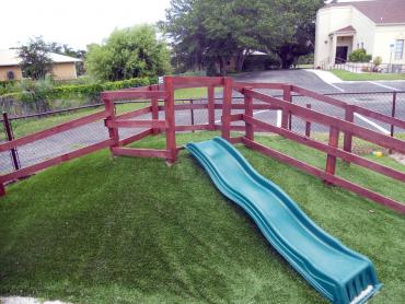 Artificial Grass Photos: Artificial Lawn Geneva, Washington City Landscape, Commercial Landscape